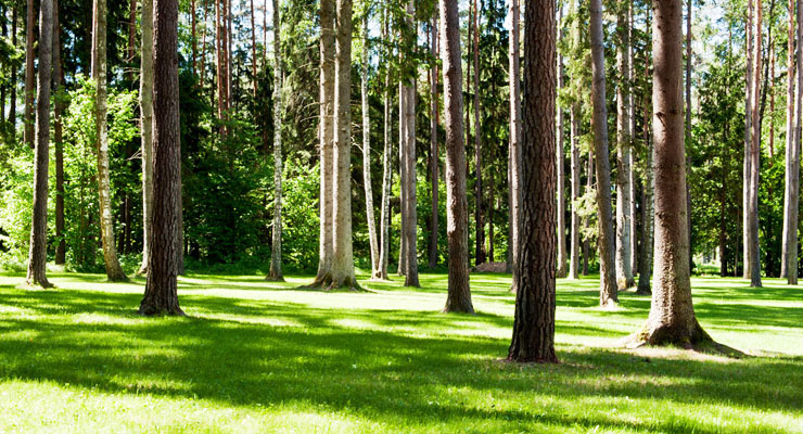 1510888699566970.jpg 1.jpg