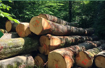 瀘州夾山木業(yè)木托盤制作原料 瀘州夾山木業(yè)木托盤制作原料